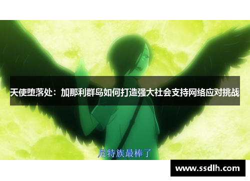 天使堕落处:加那利群岛如何打造强大社会支持网络应对挑战 天使堕落处:加那利群岛如何打造强大社会支持网络应对挑战