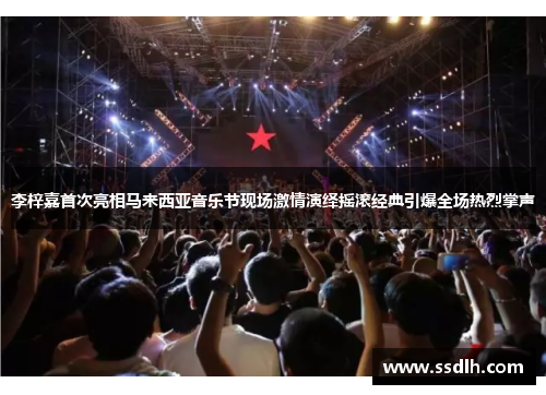 李梓嘉首次亮相马来西亚音乐节现场激情演绎摇滚经典引爆全场热烈掌声