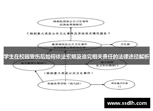 学生在校园受伤后如何依法索赔及追究相关责任的法律途径解析