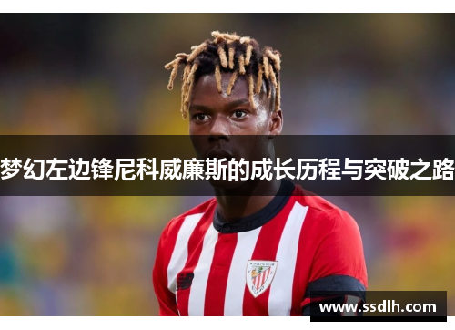 梦幻左边锋尼科威廉斯的成长历程与突破之路 梦幻左边锋尼科威廉斯的成长历程与突破之路