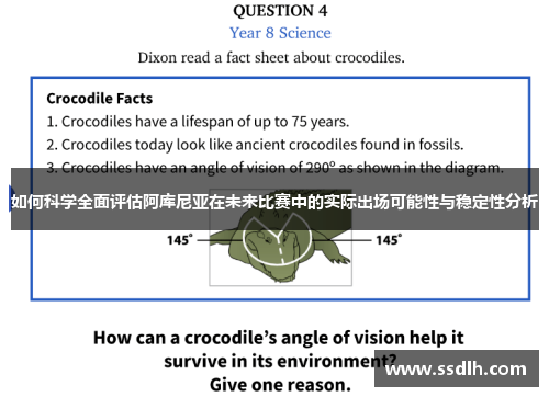 如何科学全面评估阿库尼亚在未来比赛中的实际出场可能性与稳定性分析 如何科学全面评估阿库尼亚在未来比赛中的实际出场可能性与稳定性分析