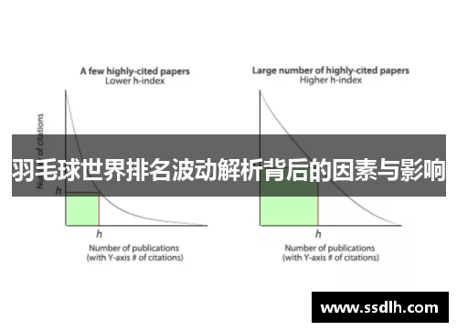 羽毛球世界排名波动解析背后的因素与影响