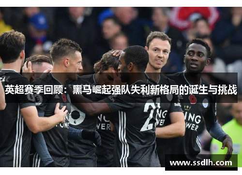 英超赛季回顾:黑马崛起强队失利新格局的诞生与挑战 英超赛季回顾:黑马崛起强队失利新格局的诞生与挑战