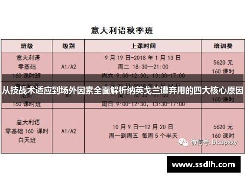 从技战术适应到场外因素全面解析纳英戈兰遭弃用的四大核心原因 从技战术适应到场外因素全面解析纳英戈兰遭弃用的四大核心原因