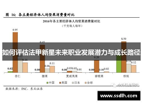 如何评估法甲新星未来职业发展潜力与成长路径